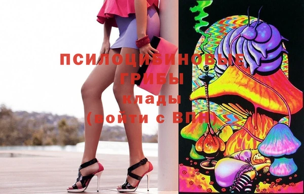 ГАЛЛЮЦИНОГЕННЫЕ ГРИБЫ Абдулино