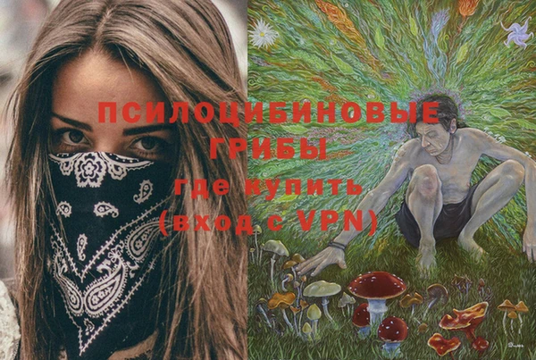 ГАЛЛЮЦИНОГЕННЫЕ ГРИБЫ Абдулино