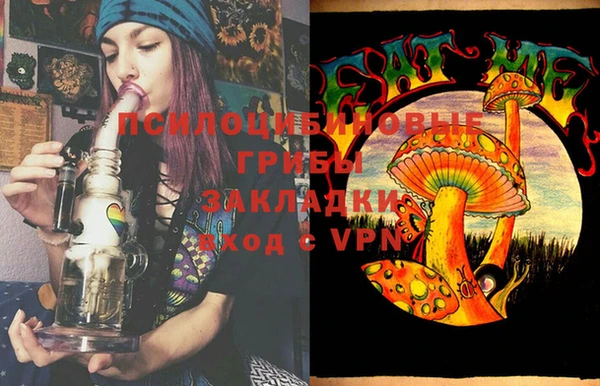 ГАЛЛЮЦИНОГЕННЫЕ ГРИБЫ Абдулино