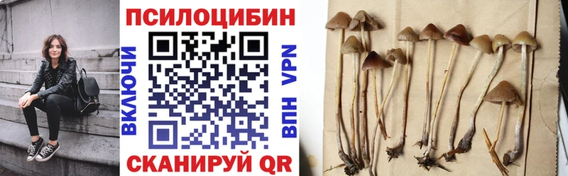 нарко площадка наркотические препараты  Ува  Галлюциногенные грибы Psilocybine cubensis 